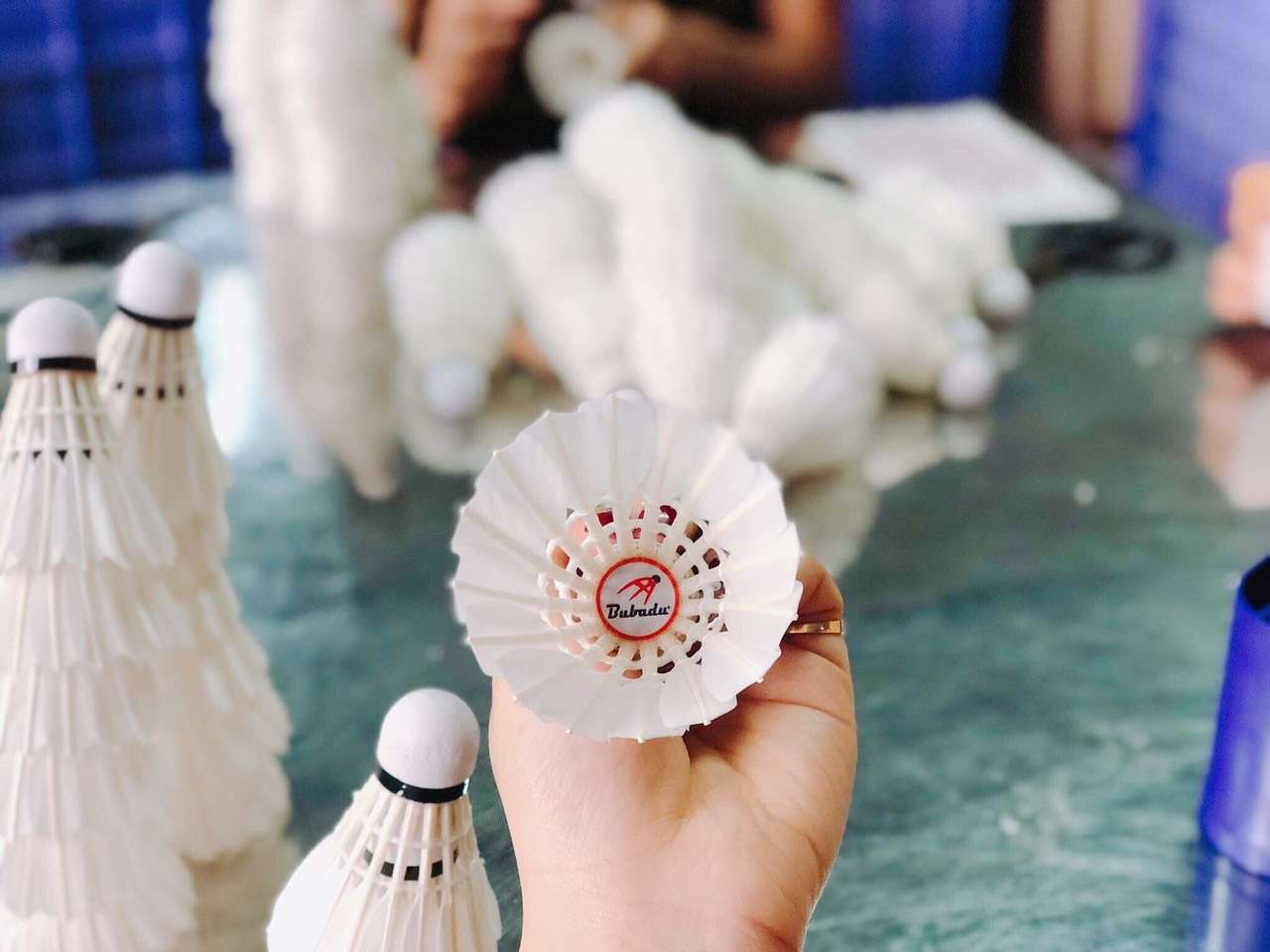 Cầu lông vũ