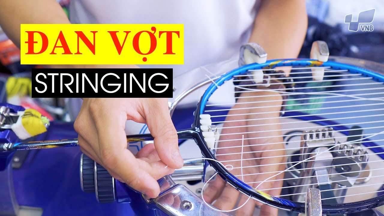 Shop cầu lông Quận 1 và Đan vợt cầu lông Quận 1 | VNB Sports Quận 1