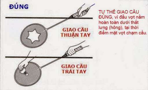 luật đánh cầu lông